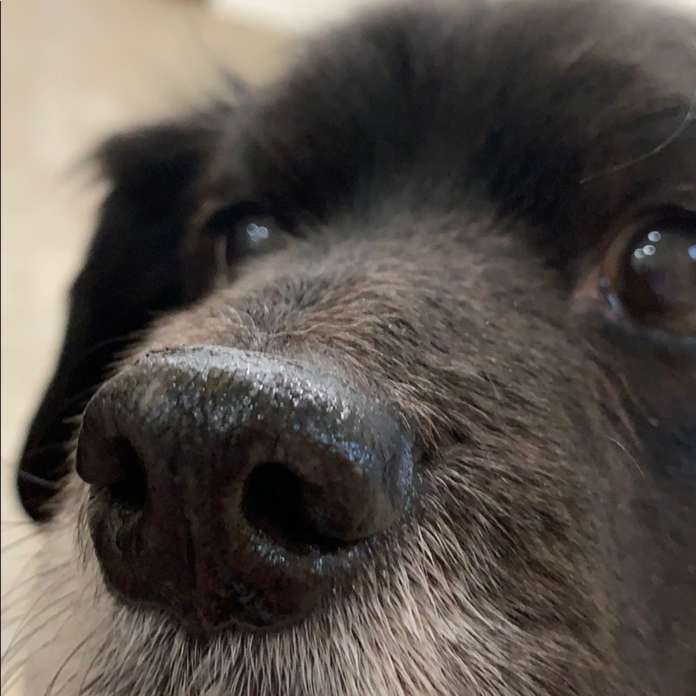 Meet your Posher, Shawna